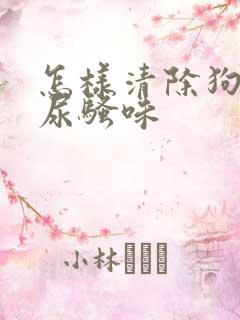 怎样清除狗狗的尿骚味