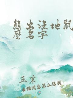 熊出没地鼠叫什么名字