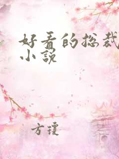 好看的总裁豪门小说