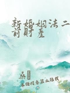 新婚姻法二婚婚前财产