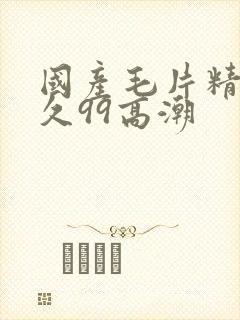 国产毛片精品久久99高潮