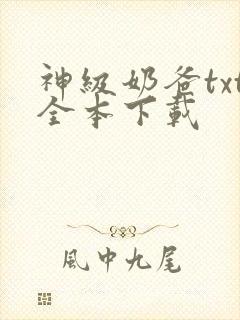 神级奶爸txt全本下载