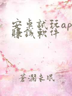 安卓试玩app赚钱软件