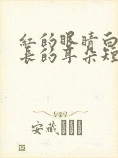 红的眼睛白的毛长的耳朵短尾巴