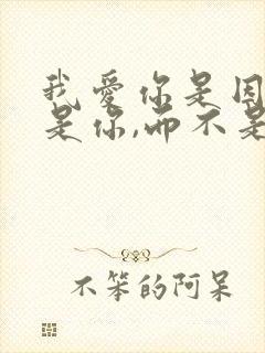 我爱你是因为你是你,而不是,你终于不是你了