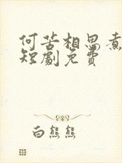 何苦相思煮余年短剧免费