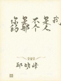 你是不是我最爱的那个人