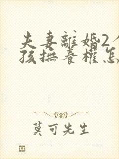 夫妻离婚2个小孩抚养权怎么判