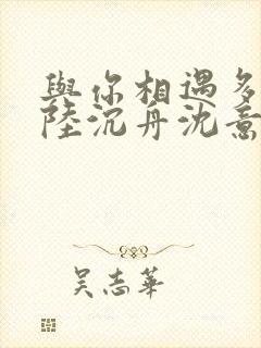 与你相遇多欢喜陆沉舟沈意欢小说阅读