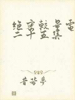 绝密较量电视剧二十五集