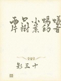 两只小蚂蚁和一片树叶的看图写话