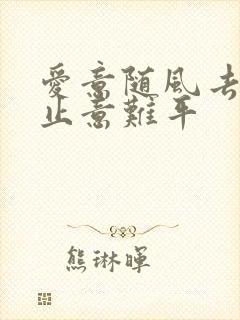 爱意随风去,风止意难平