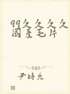99久久久久久国产毛片