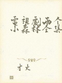 电视剧两个人的小森林全集播放