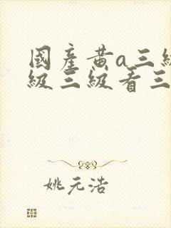 国产黄a三级三级三级看三级