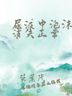 尿液中泡沫多久消失正常