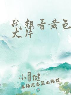 我想看黄色a毛大片