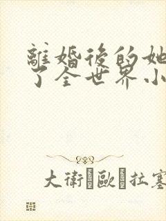 离婚后的她惊艳了全世界小说