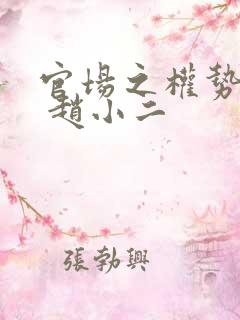 官场之权势滔天 赵小二