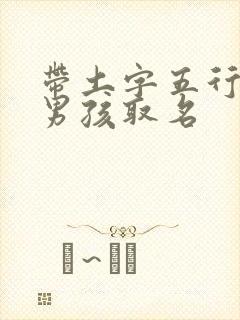 带土字五行的字男孩取名