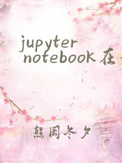 jupyter notebook在哪里运行