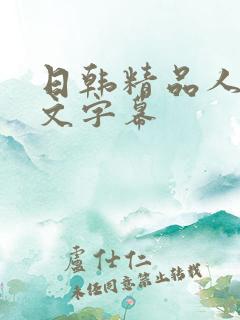 日韩精品人妻中文字幕