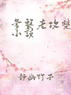 爹系老攻双男主小说