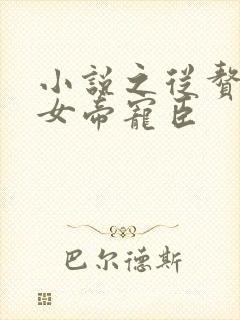 小说之从赘婿到女帝宠臣