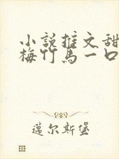 小说推文甜文青梅竹马一口气看完