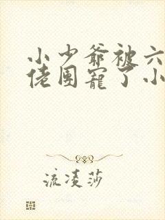 小少爷被六个大佬团宠了小说