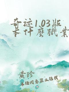 奇迹1.03版本什么职业厉害