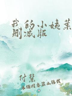 我的小姨叶凡未删减版