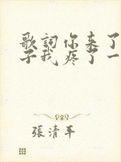 歌词你来了一阵子我疼了一辈子是什么歌