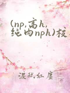 (np,高h,纯肉nph)校园