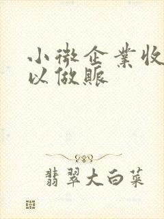 小微企业收据可以做账