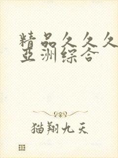 精品久久久久久亚洲综合