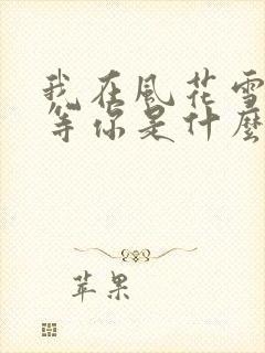 我在风花雪月里等你是什么