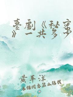 台剧《秘密关系》一共多少集