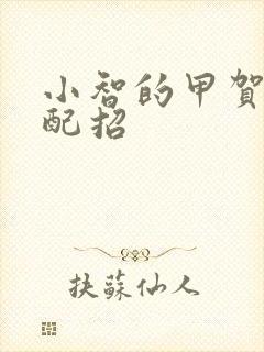 小智的甲贺忍蛙配招