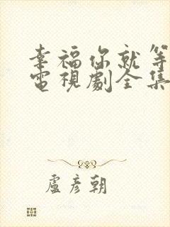 幸福你就等等我电视剧全集免费观看