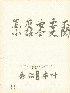 怎么也要不够她小说全文阅读