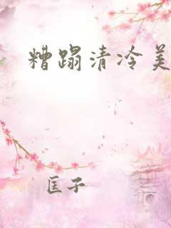 糟蹋清冷美人h