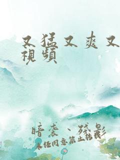 又猛又爽又黄的视频