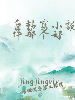 自动写小说的软件哪个好