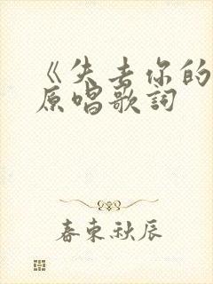 《失去你的我》原唱歌词