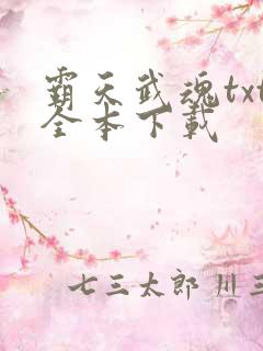 霸天武魂txt全本下载
