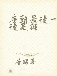 唐朝最后一个皇后是谁