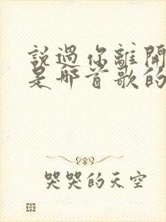 说过你离开以后是哪首歌的歌词