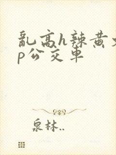 乱高h辣黄文np公交车