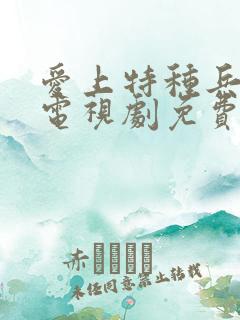 爱上特种兵高清电视剧免费观看